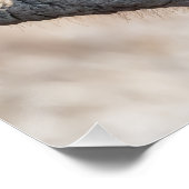 象食べ物を与えの ポスター (コーナー)