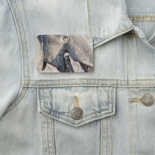 象食べ物を与えの 名札 (インサイチュ)