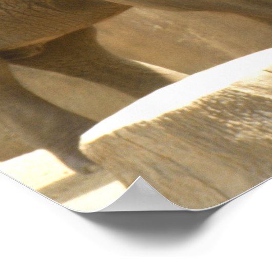 象2のポスター ポスター (角)