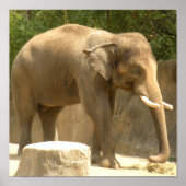 象2のポスター ポスター (正面)