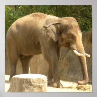 象2のポスター ポスター