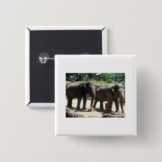 象2頭 缶バッジ (正面&裏面)