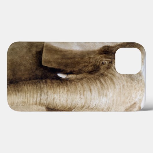 象2004年 Case-Mate iPhoneケース (裏面 (横))