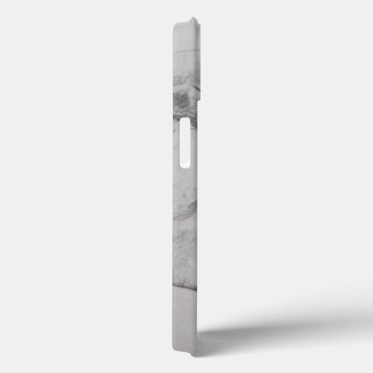 象2011年 Case-Mate iPhoneケース (裏面 / 右)