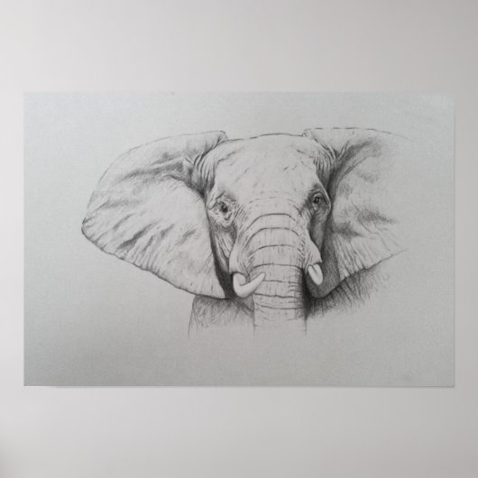 象2011 ポスター (正面)