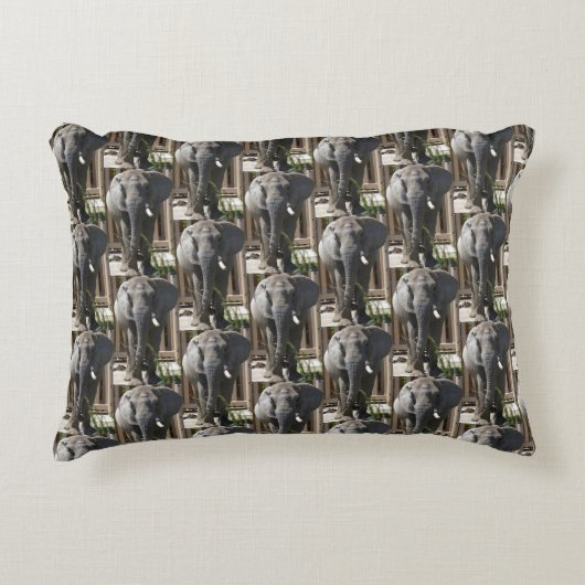 象 アクセントクッション (正面)