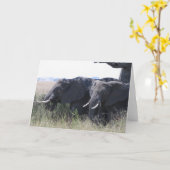 象 カード (黄色い花)