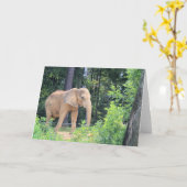 象 カード (黄色い花)