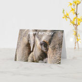 象 カード (黄色い花)