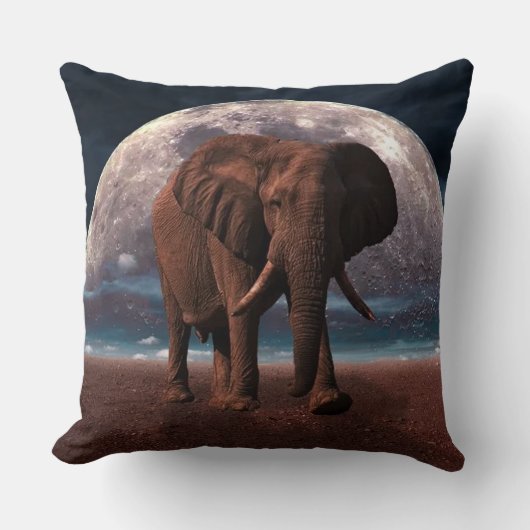 象 クッション (正面)