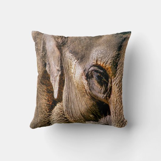 象 クッション (裏面)