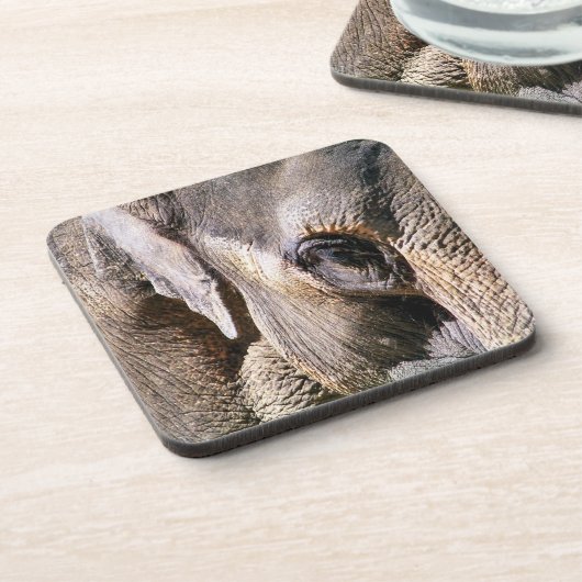 象 コースター (左側)