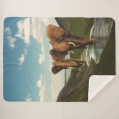 象 シェルパブランケット (正面(横))