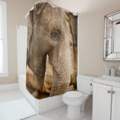 象 シャワーカーテン (インサイチュ)