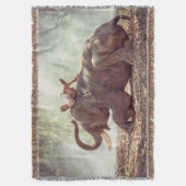 象 スローブランケット (正面縦)