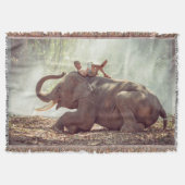 象 スローブランケット (正面)