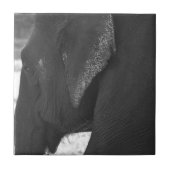 象 タイル (正面)