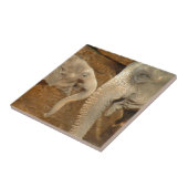 象 タイル (側面)