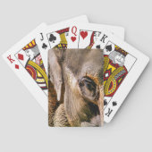 象 トランプ (裏面)