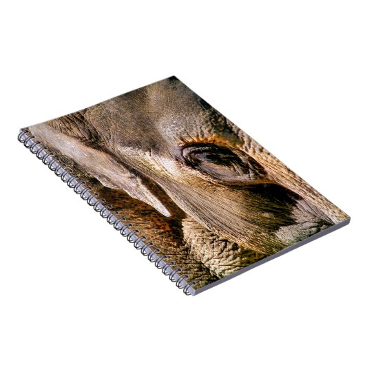 象 ノートブック (右側)