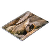 象 ノートブック (左側)