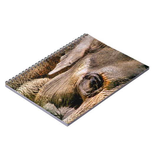 象 ノートブック (左側)