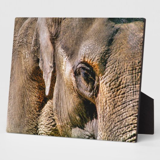 象 フォトプラーク (側面)