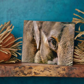 象 フォトプラーク (側面)