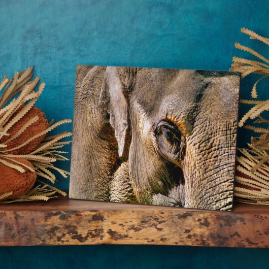 象 フォトプラーク (側面)