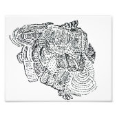 象 フォトプリント            (正面)