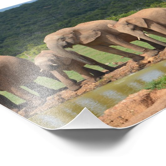 象 フォトプリント            (角)