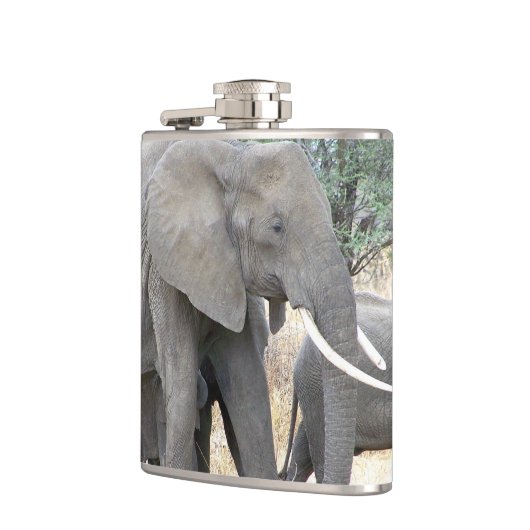 象 フラスク (左)