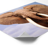 象 ポスター (角)