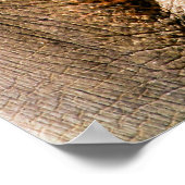 象 ポスター (角)