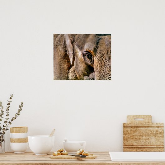 象 ポスター (キッチン)