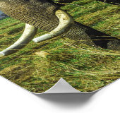 象 ポスター (角)