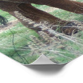 象 ポスター (角)