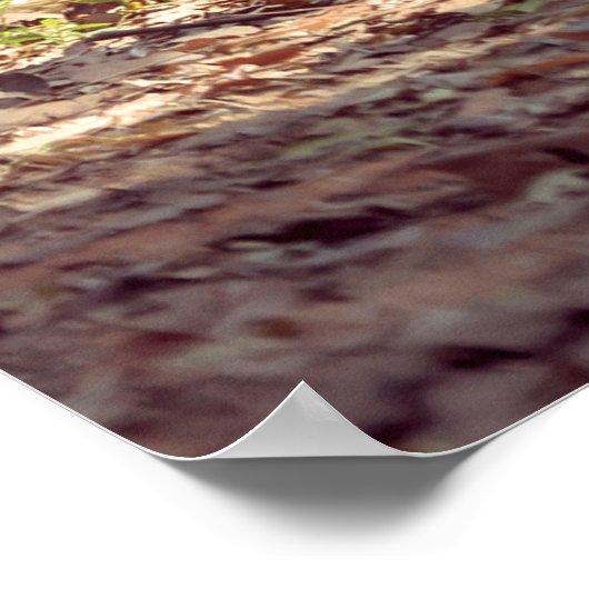 象 ポスター (角)