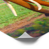 象 ポスター (角)