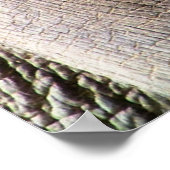 象 ポスター (角)