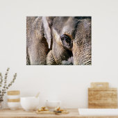 象 ポスター (キッチン)