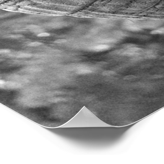 象 ポスター (角)