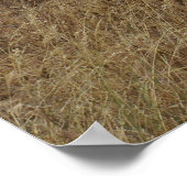 象 ポスター (角)