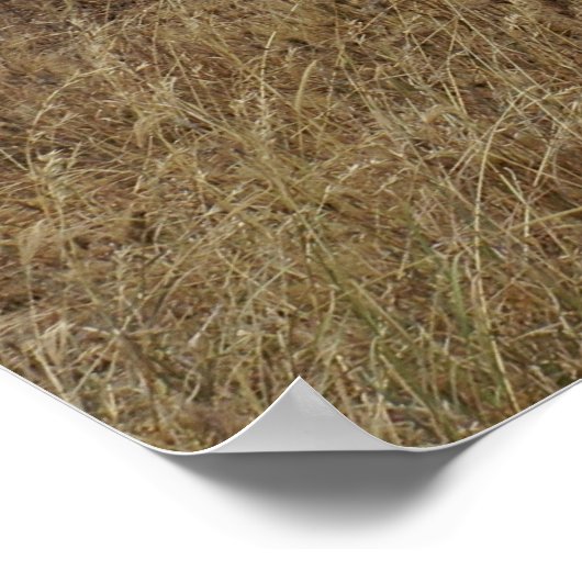 象 ポスター (角)