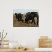 象 ポスター (キッチン)