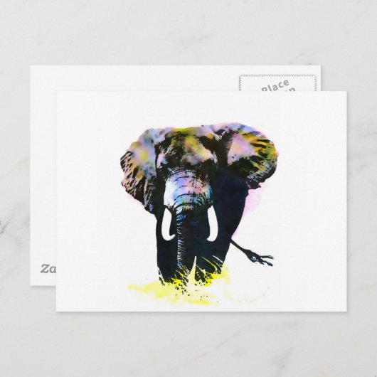 象 ポストカード (正面/裏面)