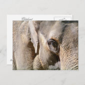 象 ポストカード (正面/裏面)