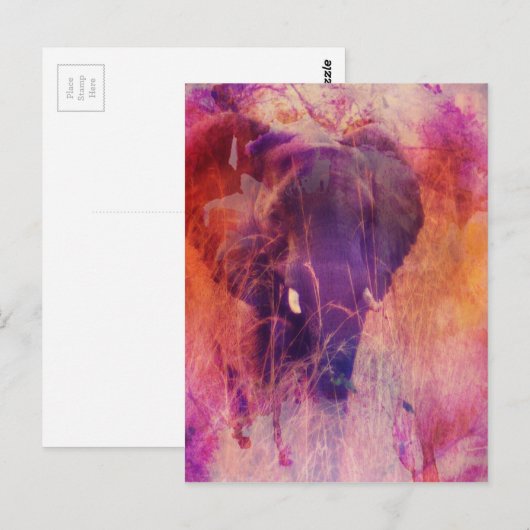 象 ポストカード (正面/裏面)