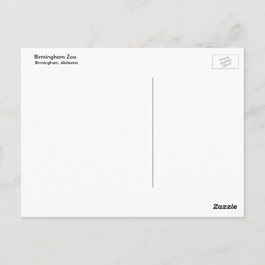 象 ポストカード (裏面)