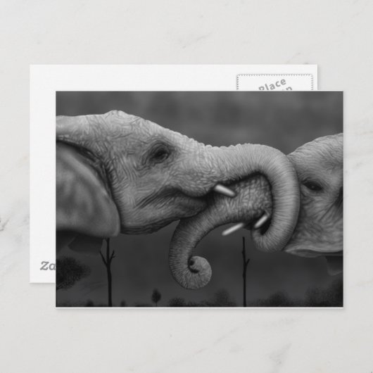 象 ポストカード (正面/裏面)